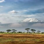 Days of Peace: Mount Kilimanjaro