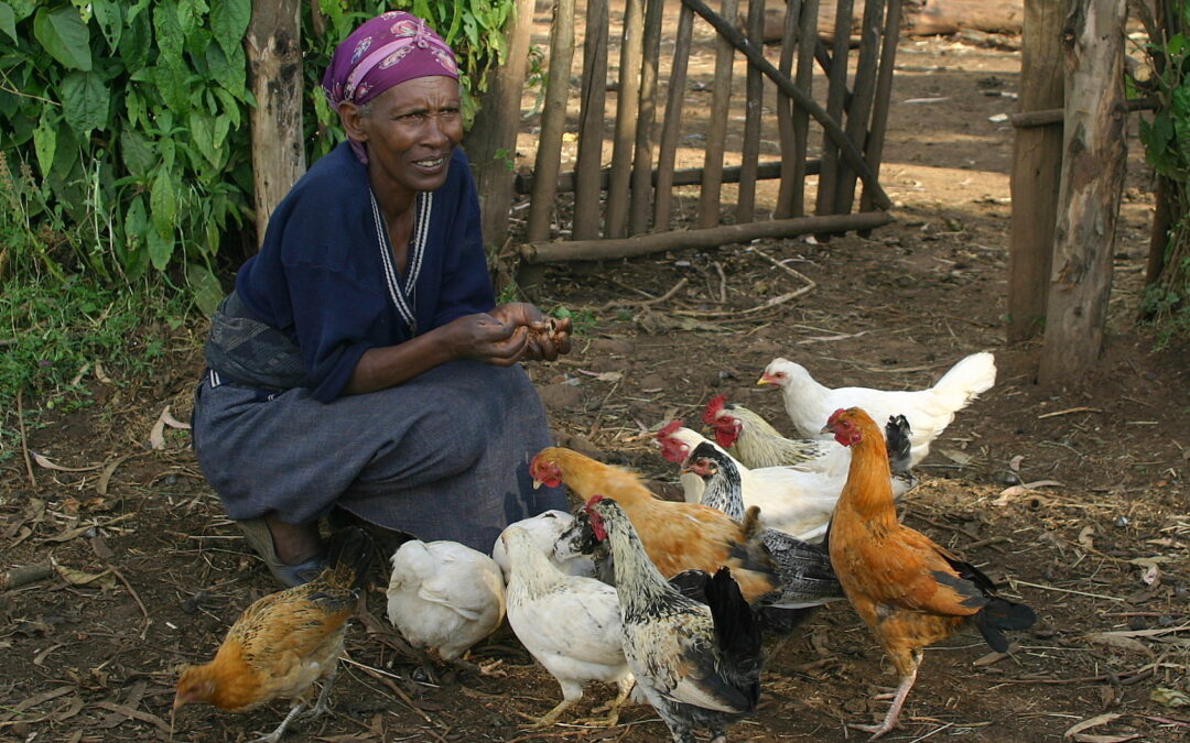 Days of Peace: Cointreau, Christophe, and Chicken